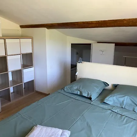 Les-Pepites-De-Badou Presentent Les Chenes Verts Aubignan Exterior photo
